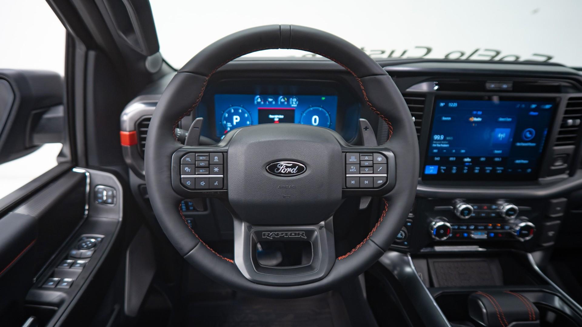 2025 FORD F-150 in Gray, photo 16 of 49