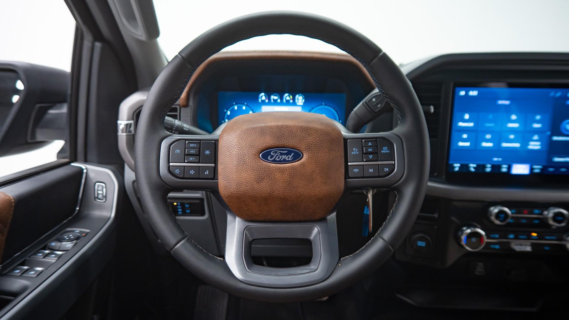 2025 FORD F-150 in Black, photo 29 of 44
