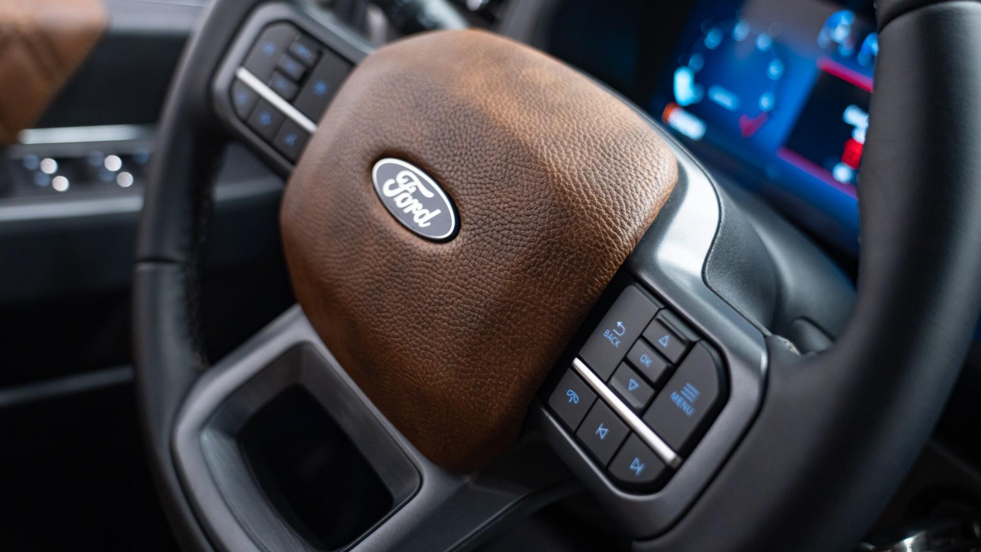 2025 FORD F-150 in Black, photo 28 of 44