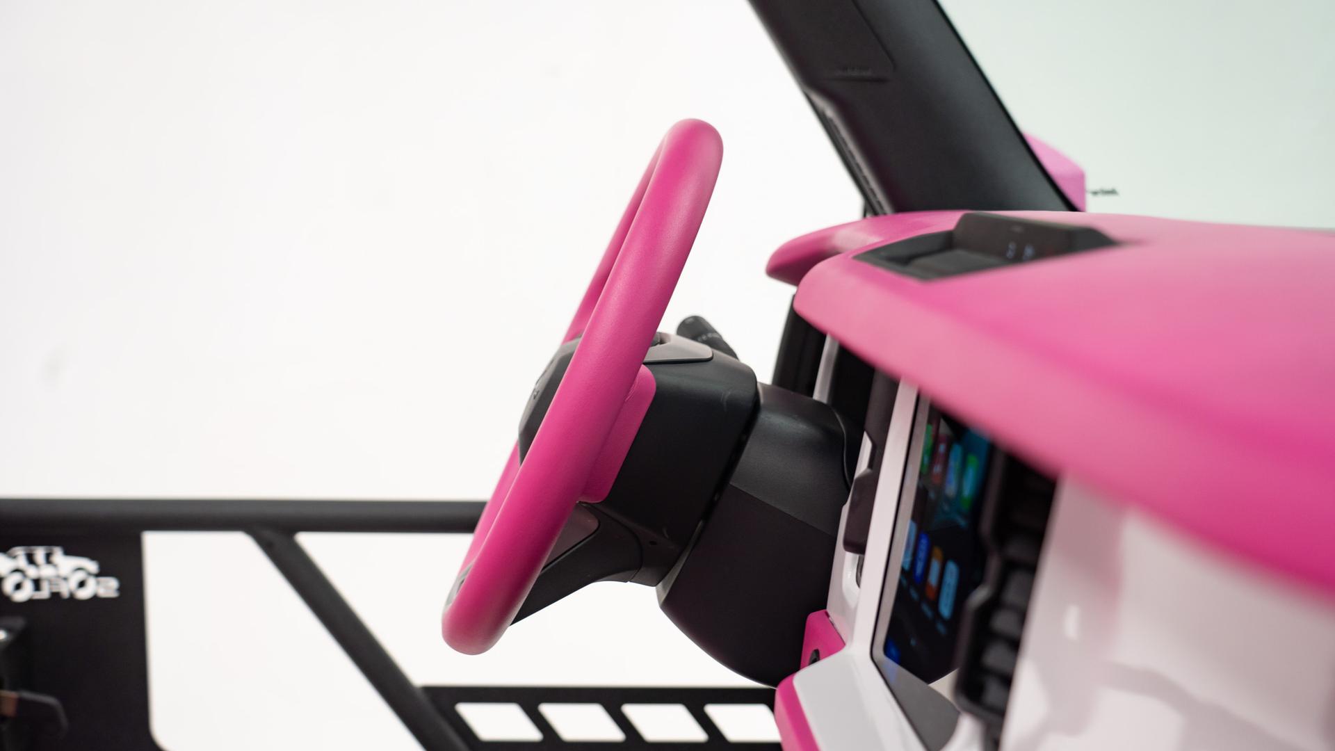 2025 FORD BRONCO in Pink, photo 43 of 55
