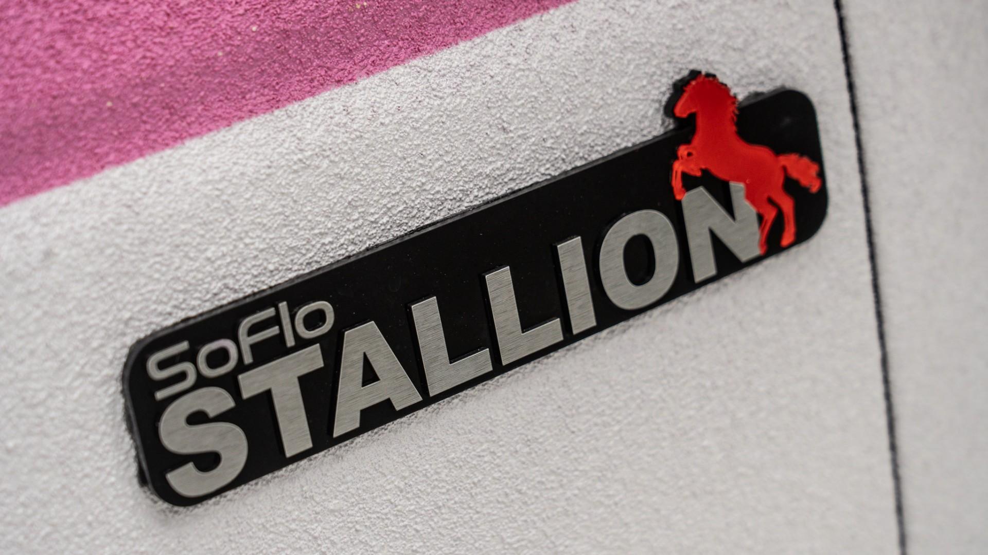 2025 FORD BRONCO in Pink, photo 18 of 55