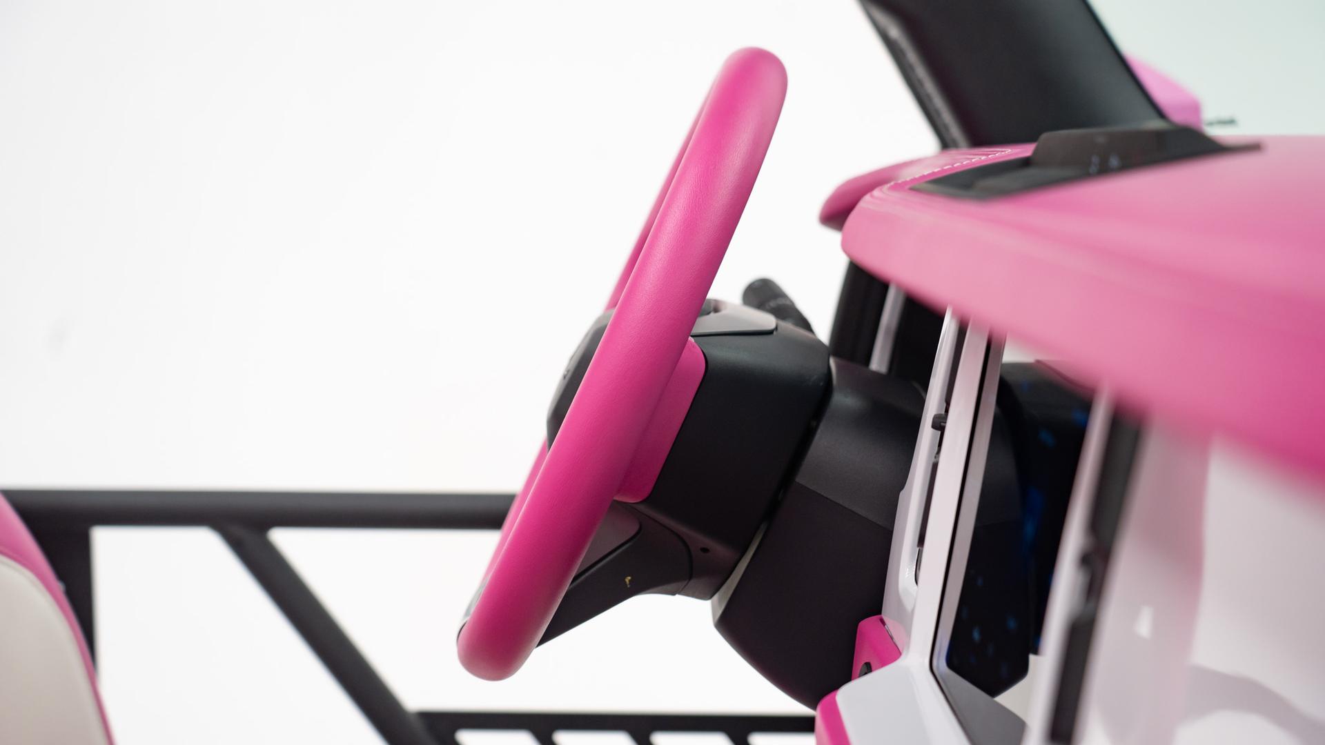 2025 FORD BRONCO in Pink, photo 37 of 52