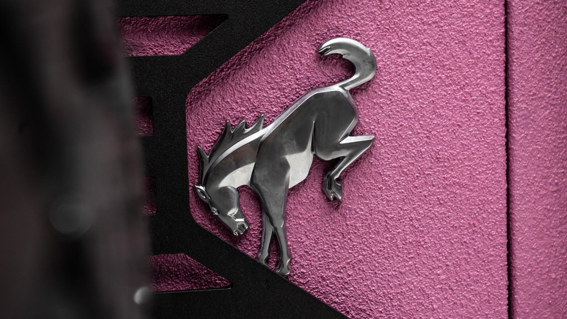 2025 FORD BRONCO in Pink, photo 28 of 52