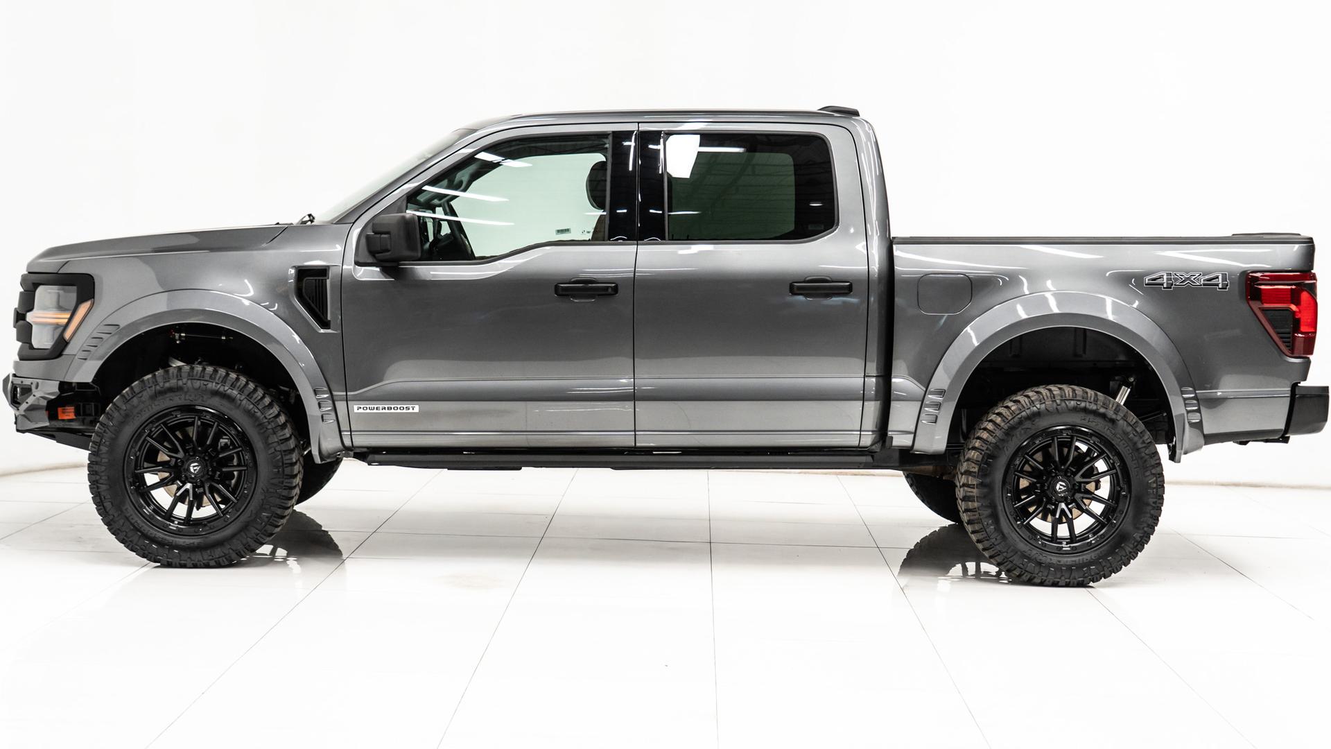 2025 FORD F-150 in Gray, photo 15 of 55