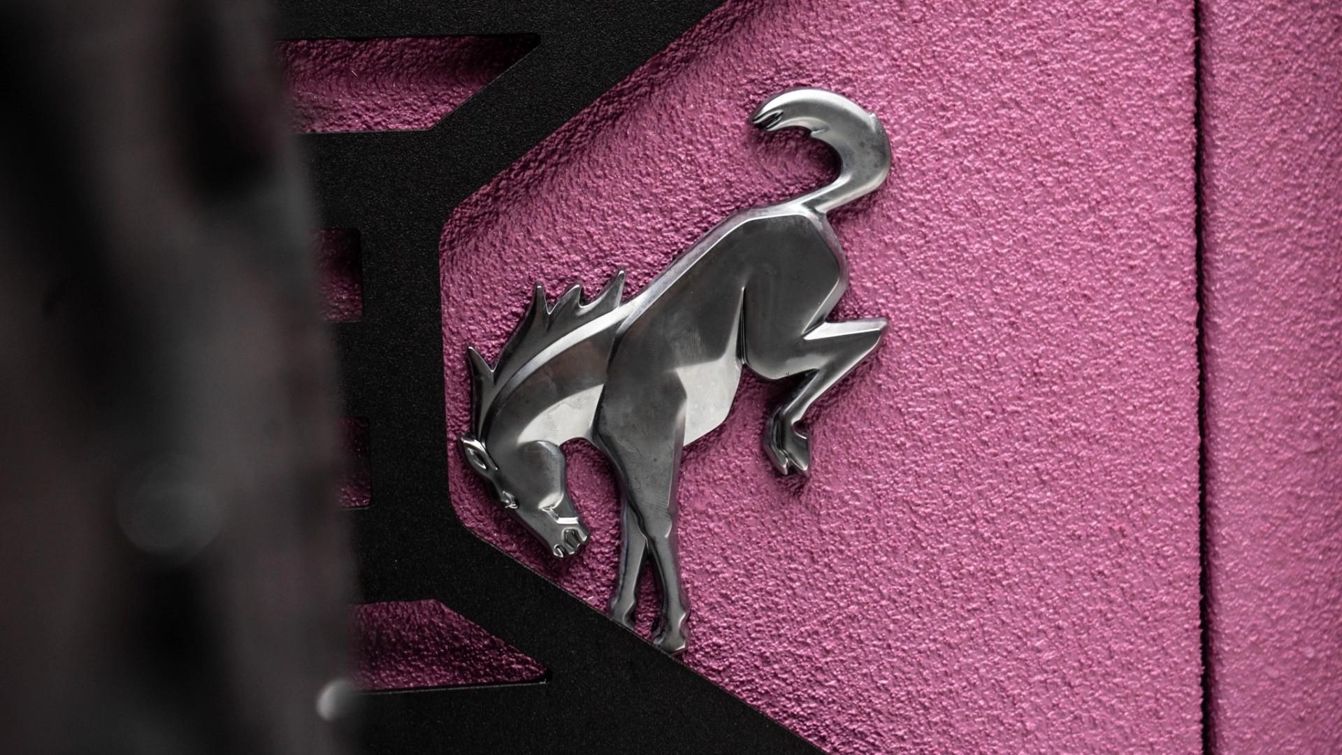 2025 FORD BRONCO in Pink, photo 25 of 37
