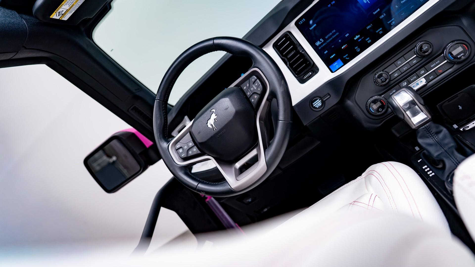 2025 FORD BRONCO in Pink, photo 20 of 60